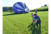 Heissluftballon fliegen - Payerne -Estavayer-le-Lac - Morat 3