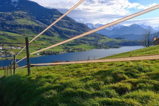 Titel - Untertitel 17 