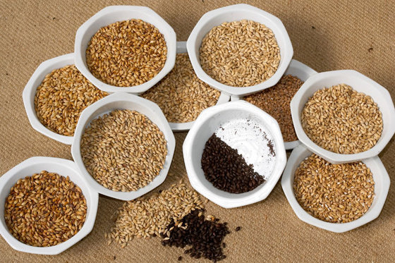 Bierbraukurs Frauenfeld - Bier selber brauen 3 