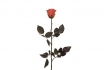 Rose 30cm - en rouge 