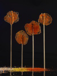 Molekulare Küche - Grundkurs 2 