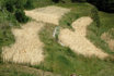 Wildkräuter-Route - 2 Tage Velotour im Wallis 4