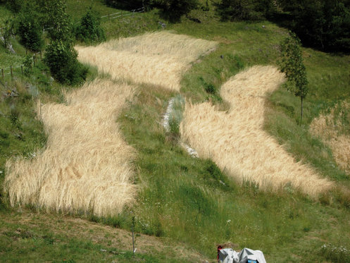 Route des herbes sauvages - Balades à vélo et nuitée  4 