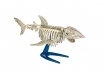 Kit archéologique requin - Capt'n Sharky 1