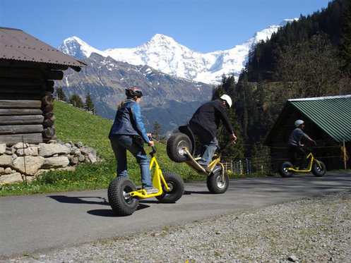 Monstertrotti und Quad - Kombitour in Traumlandschaft 4 