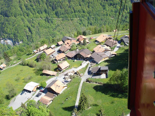 Monstertrotti und Quad - Kombitour in Traumlandschaft 11 