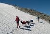 Trekking d'une journée - accompagné de chèvres 3