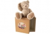 Ours en peluche - dans une boîte cadeau 