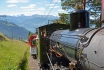 Voyage en train à vapeur sur le Rigi - sur la reine des montagnes (sans abonnements CFF) 