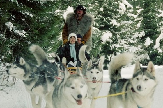 Husky Abenteuer - ganzer Tag  