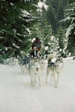 Husky Abenteuer - ganzer Tag 1 