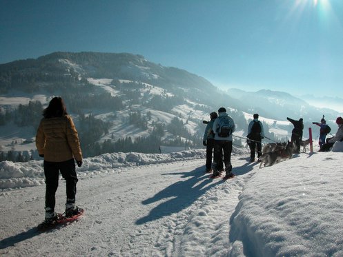 Husky Abenteuer - ganzer Tag 5 