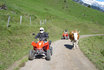 Tour in quad per buongustai - incluso pasto in osteria 6