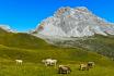 Ore romantiche in montagna - nel Bündnerland 13