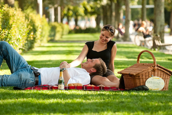 Panier pique-nique pour 2 - Moment romantique au bord du lac de Zürich 3 