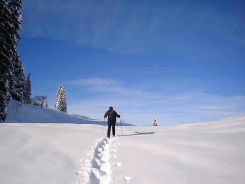 Auberge de montagne - Nuit et randonnée en raquettes 1 