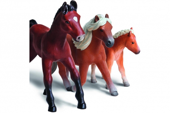 Titel - Untertitel 3 