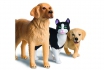 Tier-Set Golden Retriever - tiptoi von Ravensburger 3