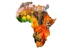 Afrique - Puzzle 1000 pièces 1