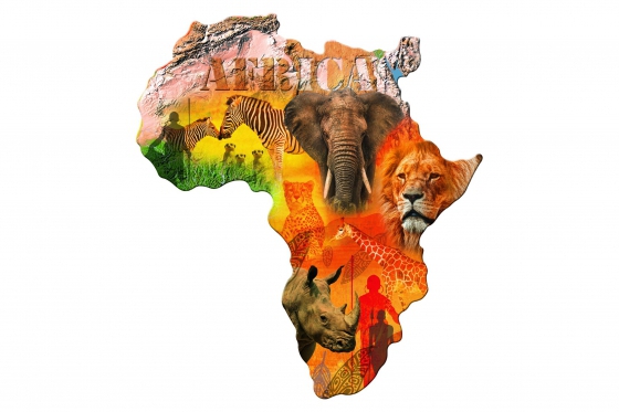 Afrique - Puzzle 1000 pièces 1 