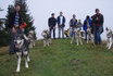 Husky Trekking  - im Sommer für 4 Personen 1