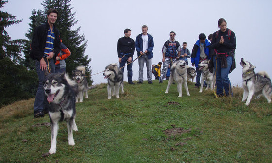 Titel - Untertitel 1 