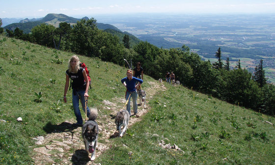 Titel - Untertitel 2 