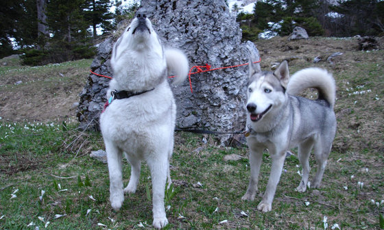 Titel - Untertitel 4 