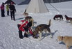 Alla scoperta degli Husky - Corso di una giornata 10