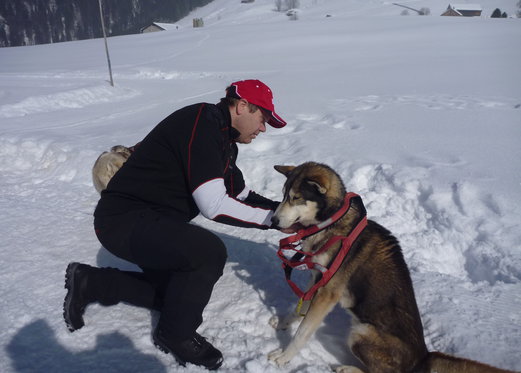 Schlittenhunde Tageskurs - Husky Erlebnis für einen Tag 6 