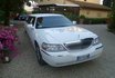 Limousine mieten - in Florenz 5
