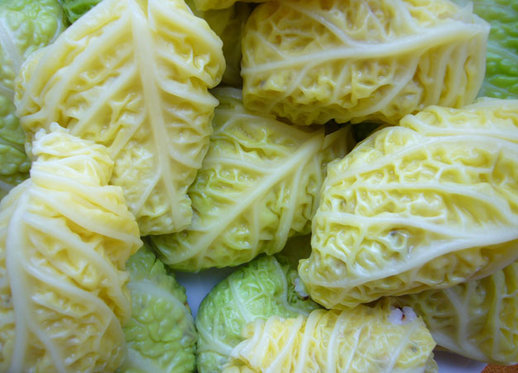 Titel - Untertitel 1 