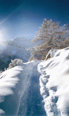 7 Tage Traumferien in Saas Fee - inkl. Hotel mit Frühstuck und Abendessen und Skipass 10 