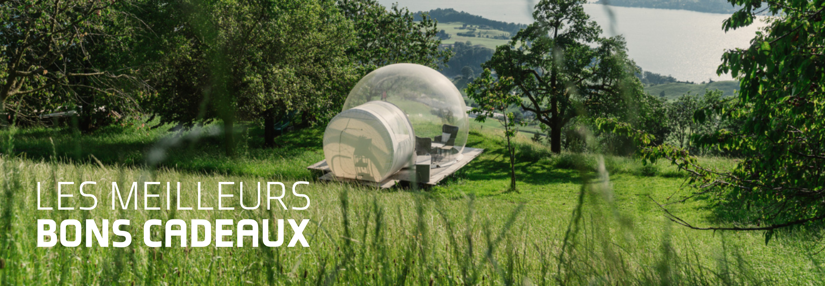 Les meilleurs bons cadeaux