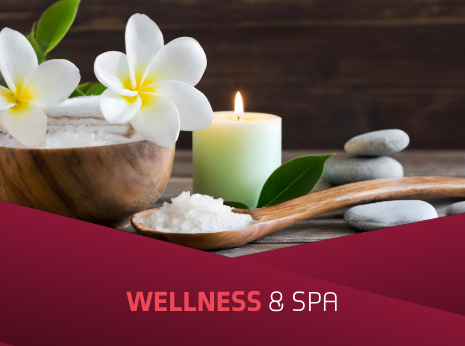 Wellness & Spa