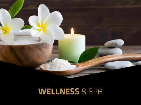 Wellness & Spa