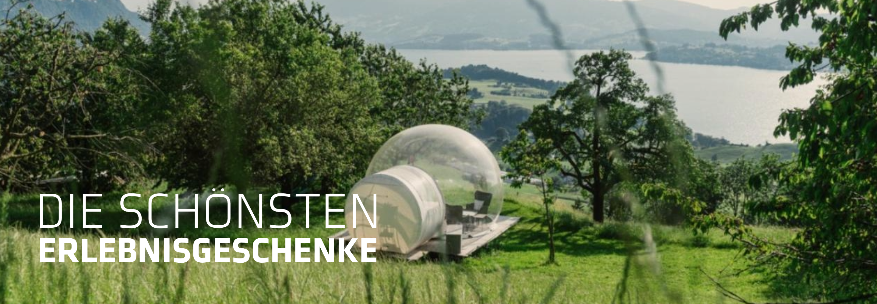 Die schönsten Erlebnisgeschenke