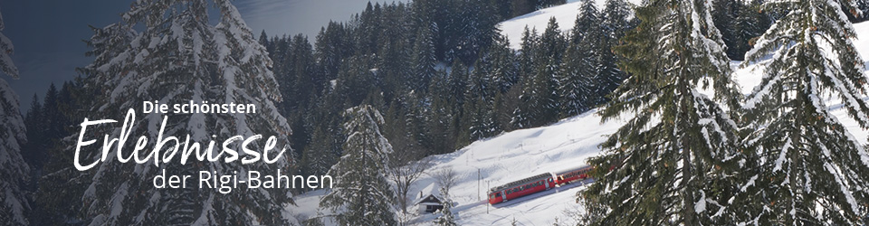 Ein aussergewöhnliches Rigi Erlebnis