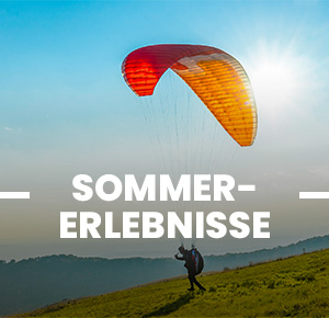 Activités estivales