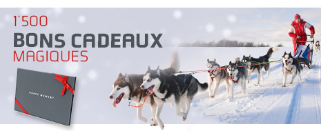 1500 activités exceptionnels