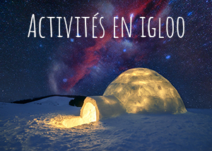 Activités en igloo