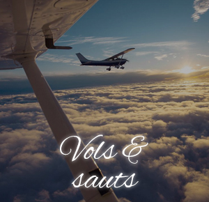 Vols & sauts