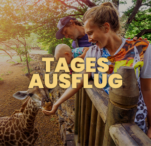 Tagesausflug