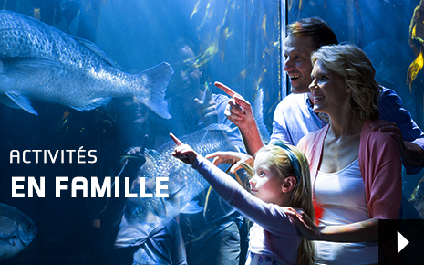 Actvités en famille