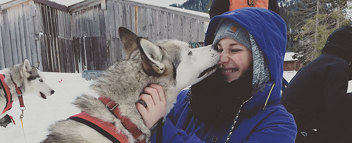 Schlittenhund - Erlebnis testen