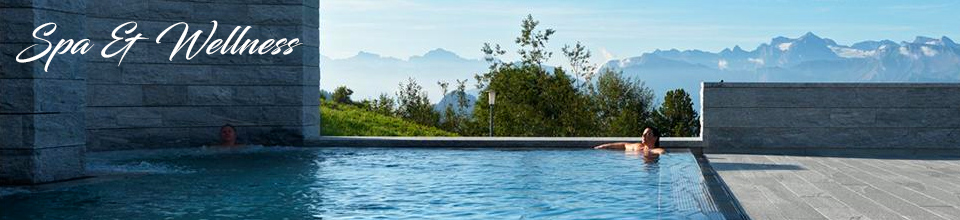 Wellness & Spa
