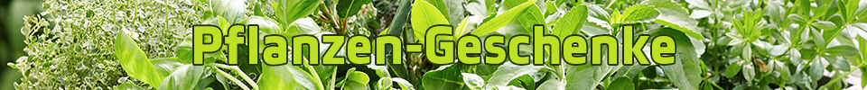 Geschenke rund um Pflanzen