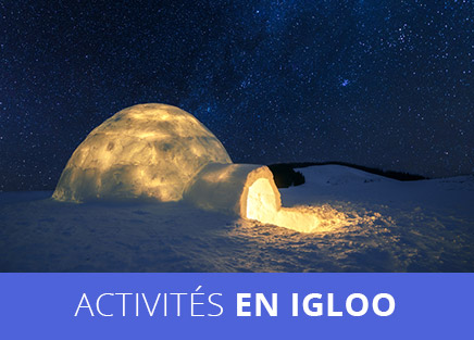 Activités en igloo