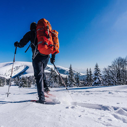 Raquette et raclette, Une sortie en famille