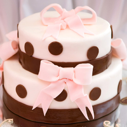 Grosses Torten Seminar, Für 6 Personen